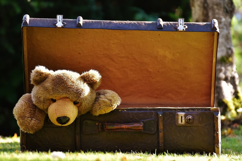 Luxury Travel Suitcase