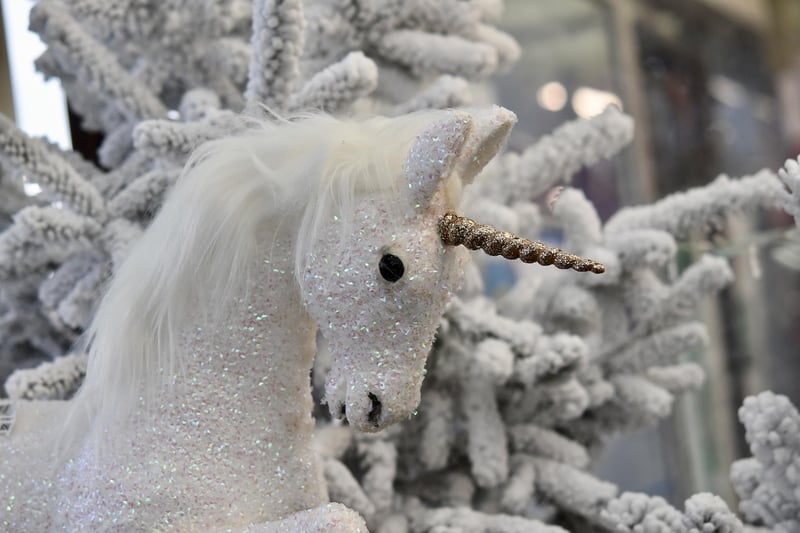 Unicorn Riding